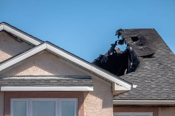 Licensed Fire Damage Removal service in Loretto, MN - Fire Damage Biloxi